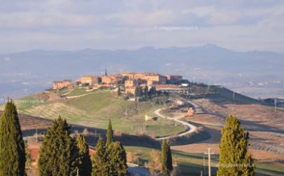 Appartamento a Asciano - Foto 3