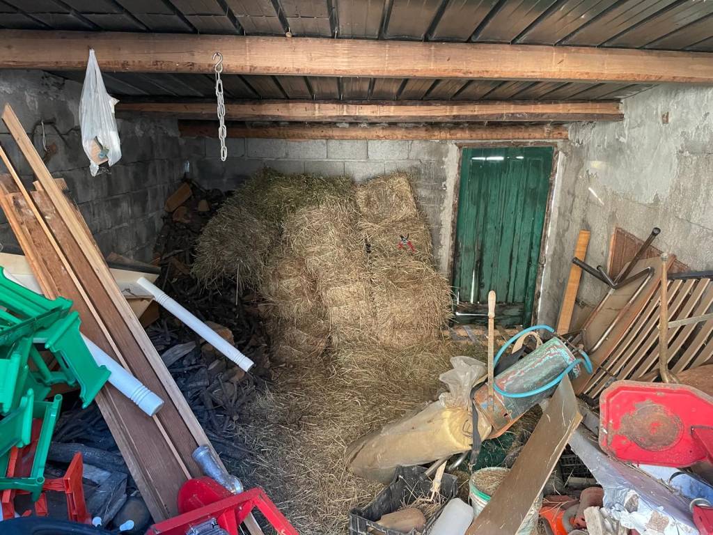 Rustico / casale a Belvedere marittimo in Contrada Sant'Andrea - Foto 3