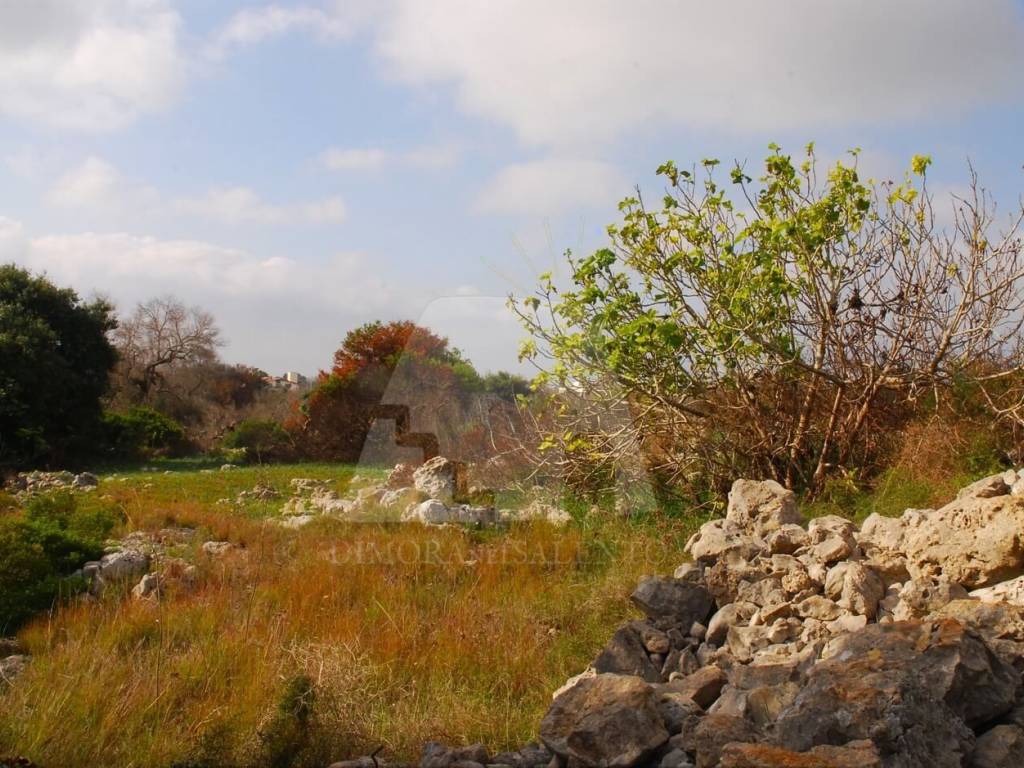 Terreno a Salve in Strada Vicinale Cucuruzzi - Foto 2