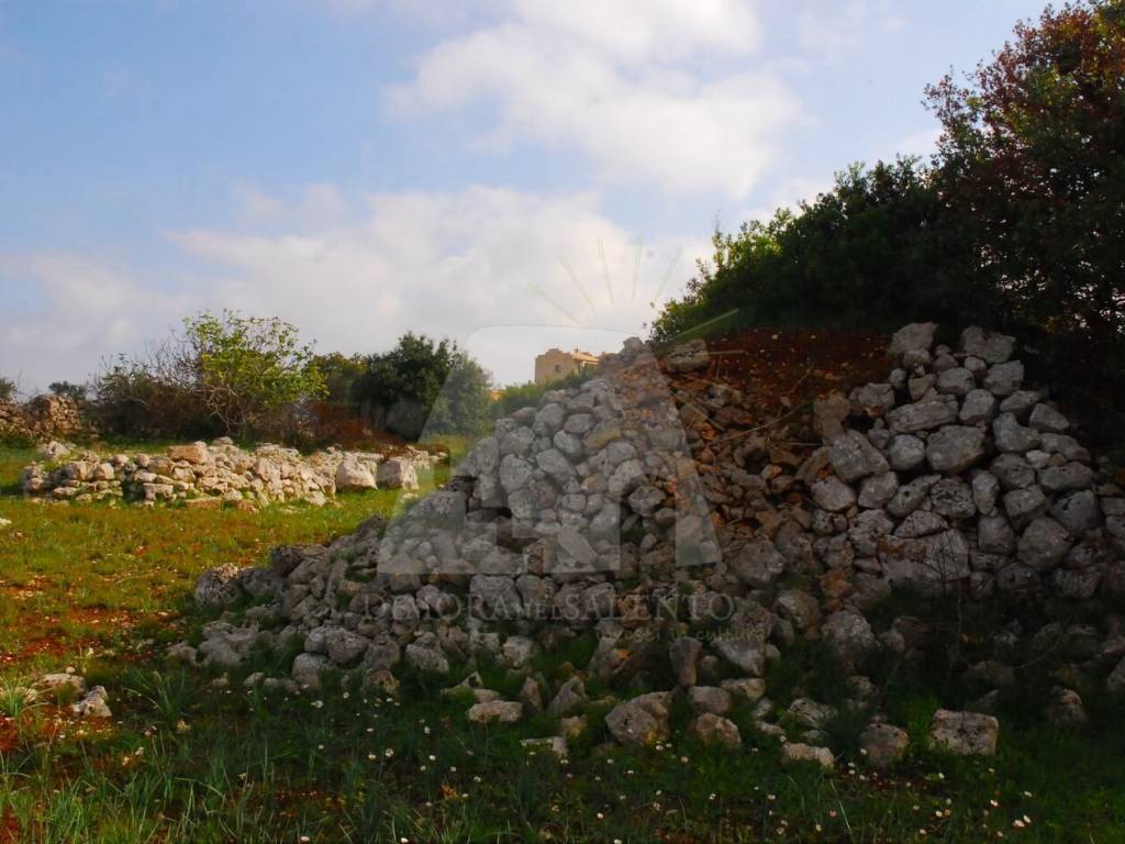 Terreno a Salve in Strada Vicinale Cucuruzzi - Foto 3
