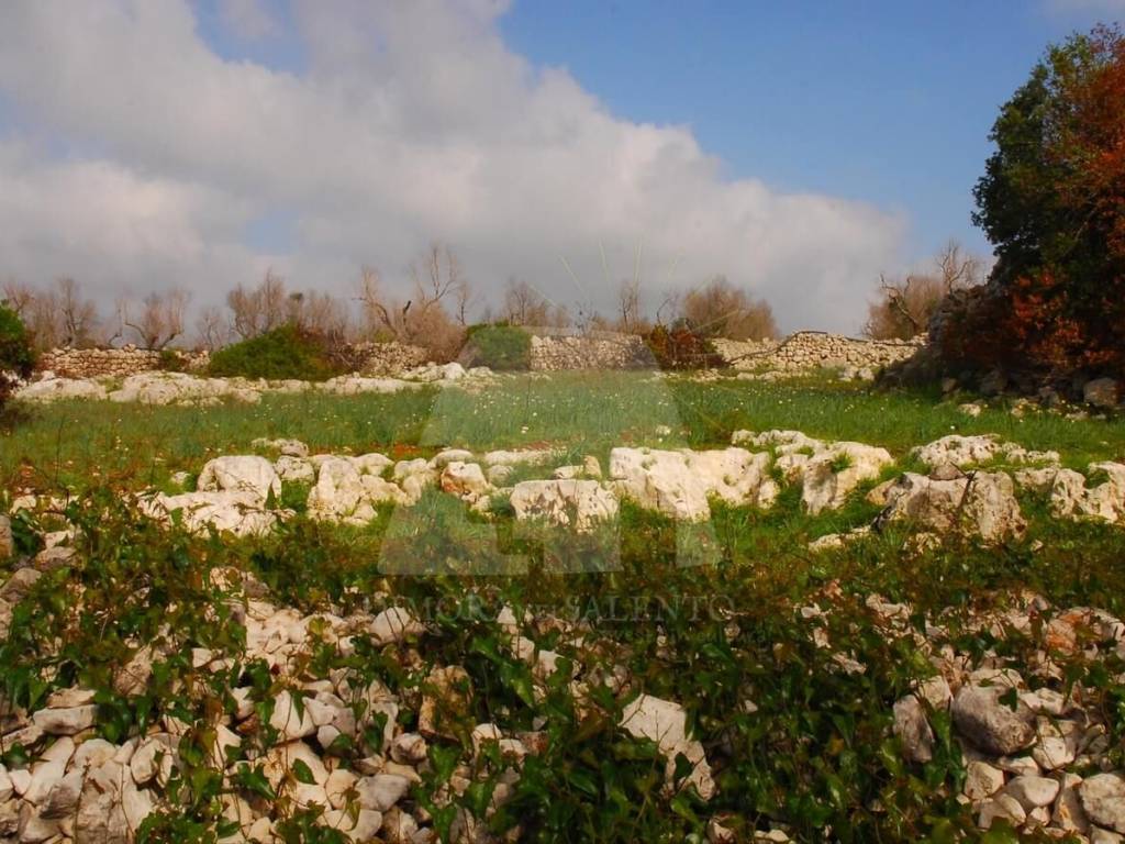 Terreno a Salve in Strada Vicinale Cucuruzzi - Foto 5