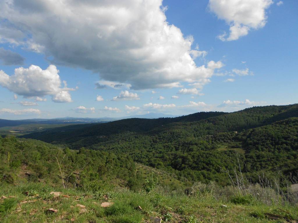 Villa a Castelnuovo berardenga - Foto 3
