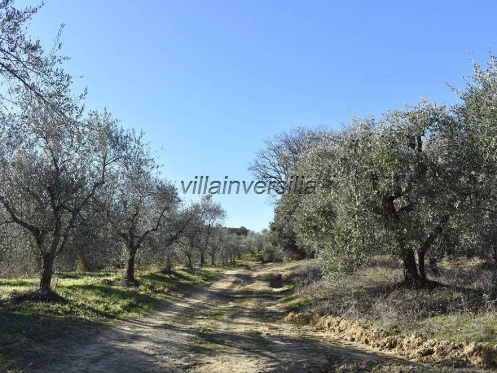 Rustico / casale a San gimignano - Foto 5