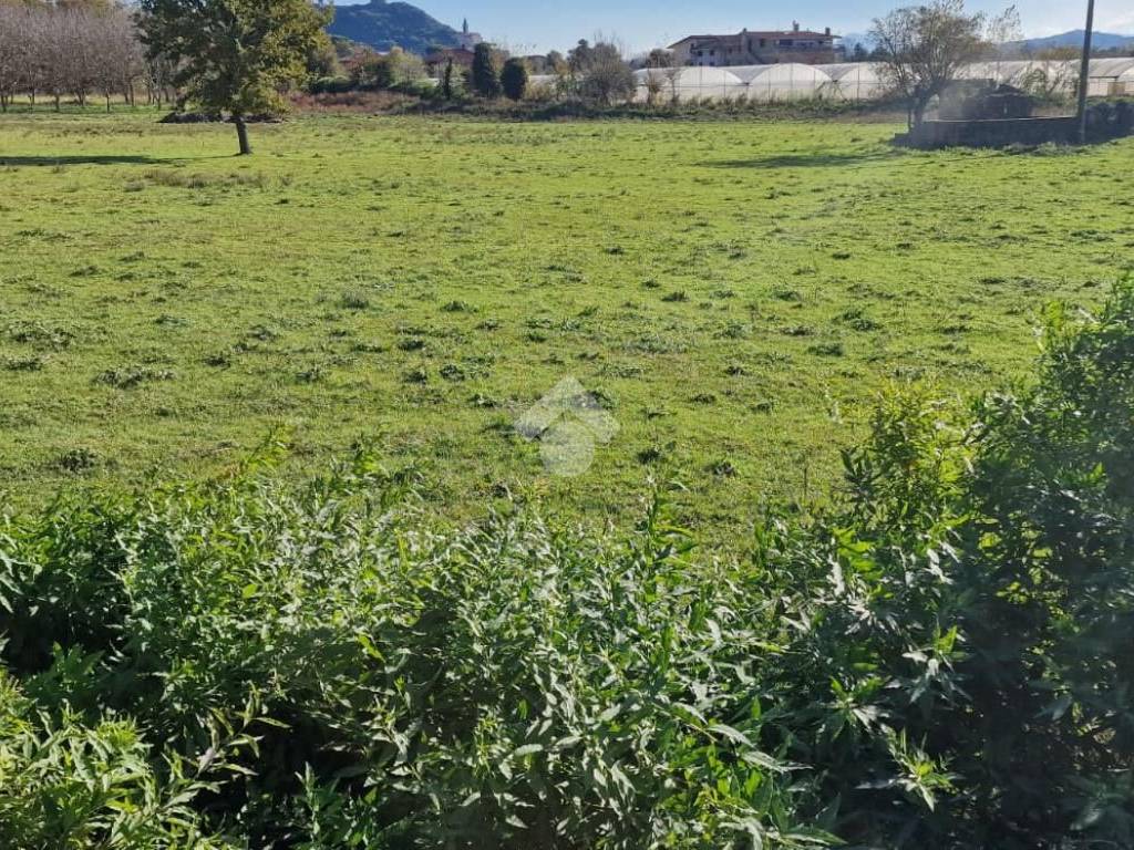 Terreno a Bonea in Via Bacile, 10 - Foto 3