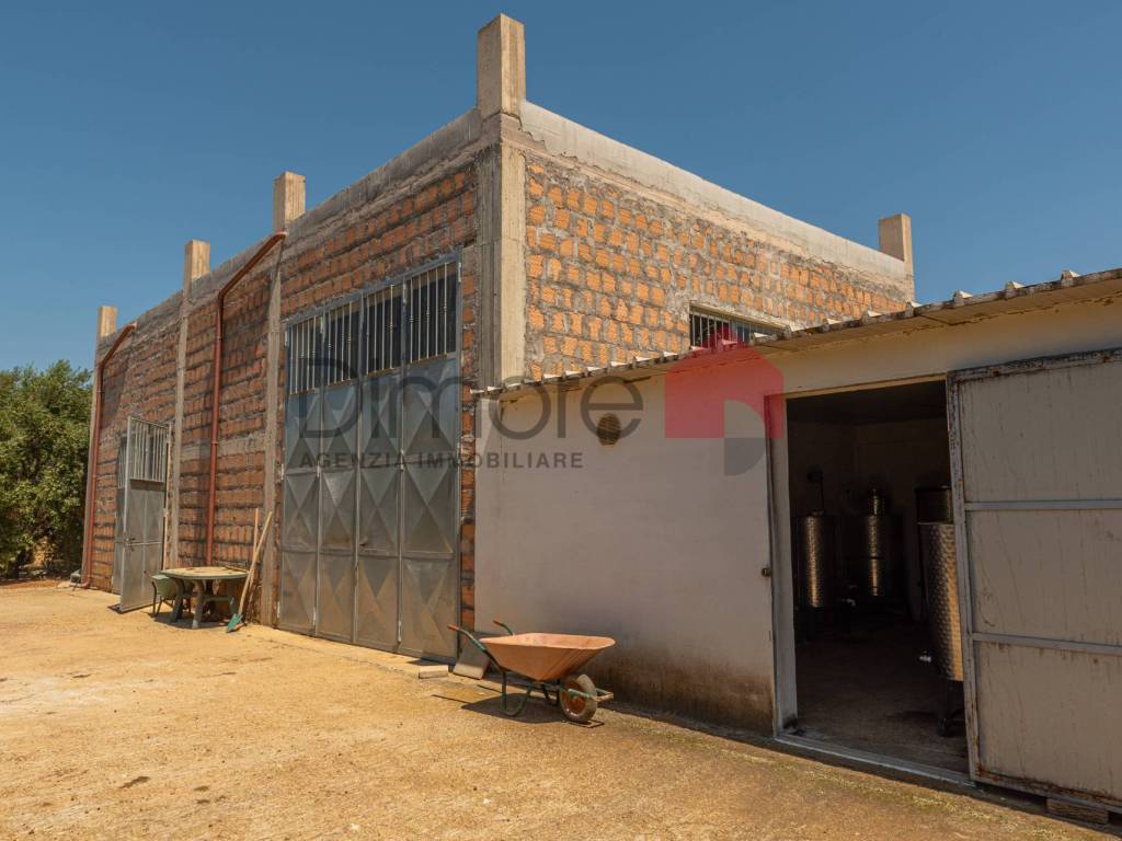 Terreno a Tarquinia in Loc. Colonia Elisabetta - Foto 4