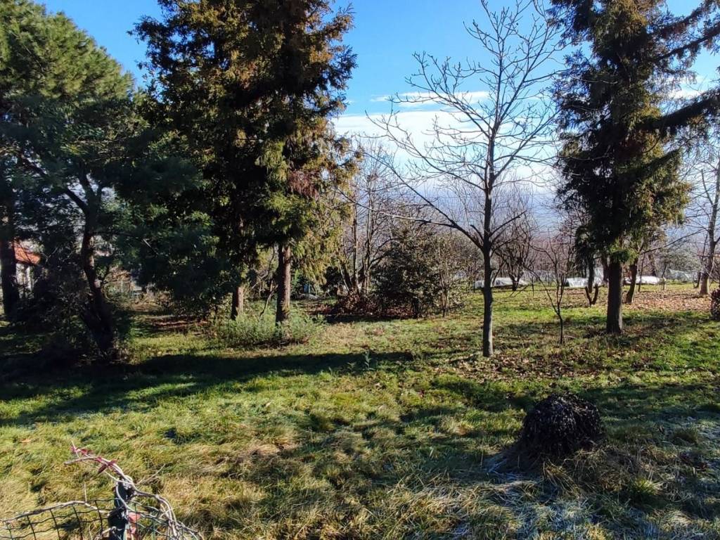 Rustico / casale a Envie in Via Ruffinengo, 6 - Foto 3