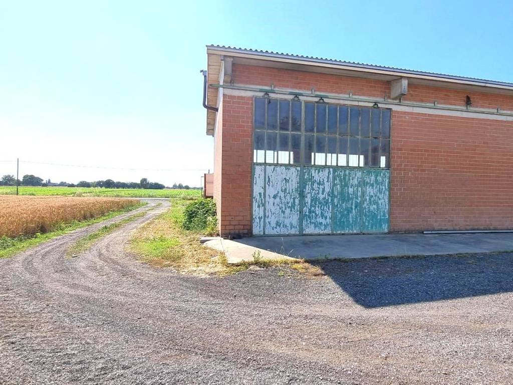 Immobile a Sissa trecasali in Frazione San Nazzaro, 86 - Foto 4