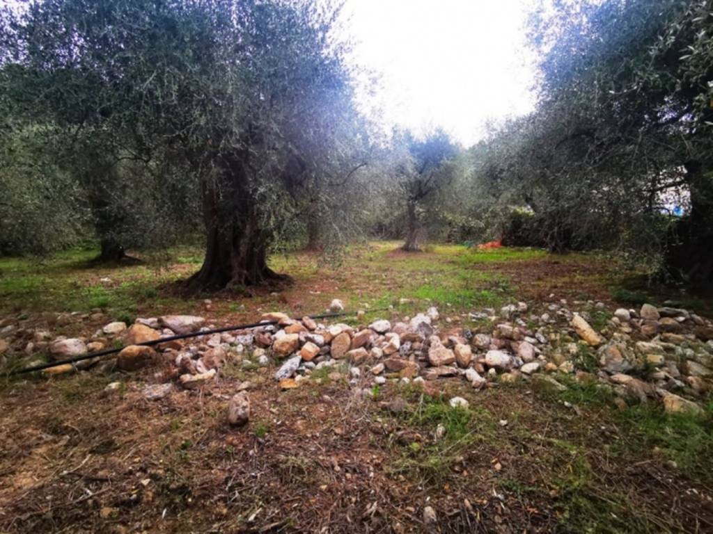 Terreno a San bartolomeo al mare in Via Ca' De Conti - Foto 5