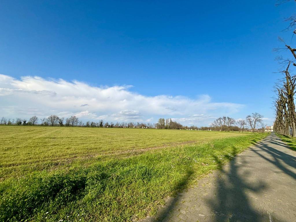 Terreno a Certosa di pavia - Foto 3