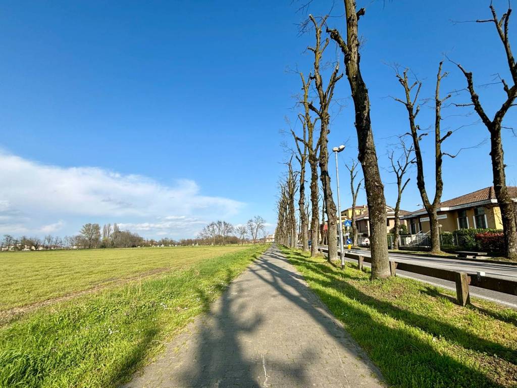 Terreno a Certosa di pavia - Foto 4
