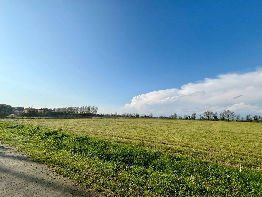 Terreno a Certosa di pavia - Foto 5