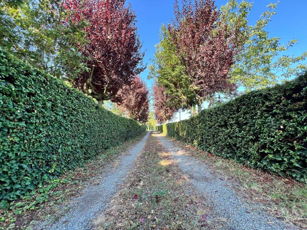 Villa a Nizza monferrato in Strada Alessandria - Foto 4
