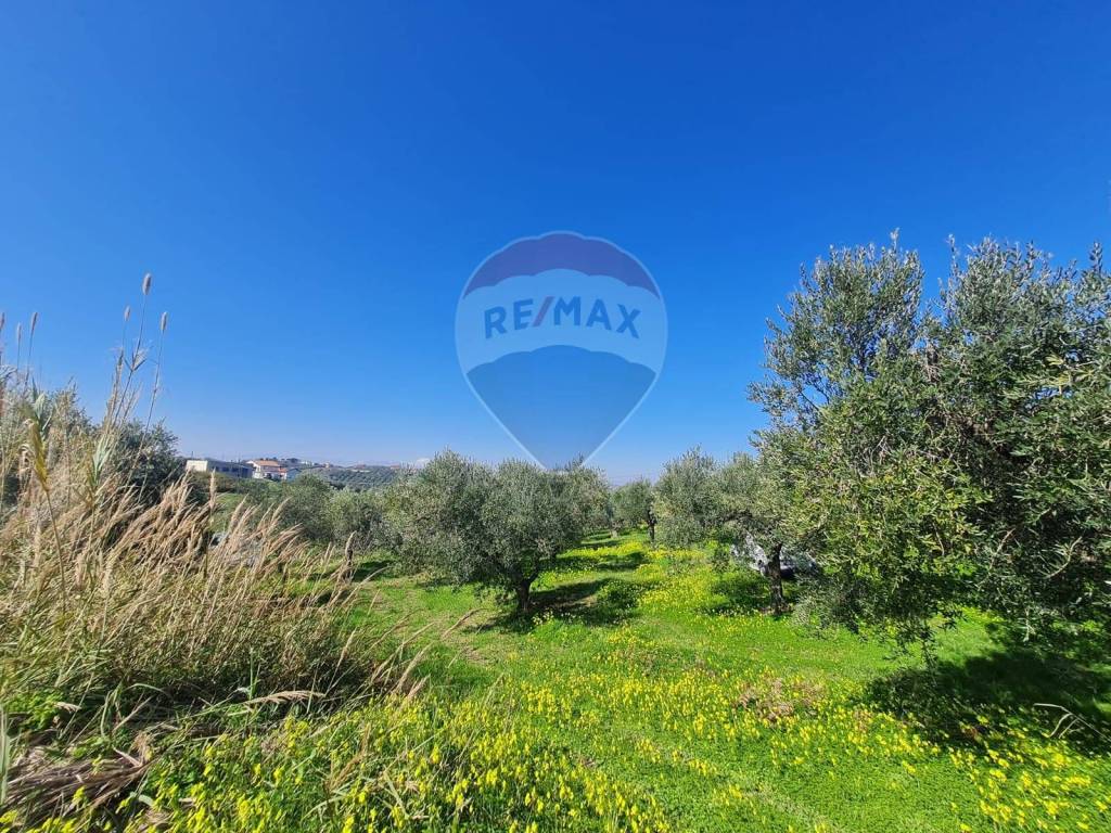 Terreno a Francavilla al mare in Contrada Santa Cecilia - Foto 3