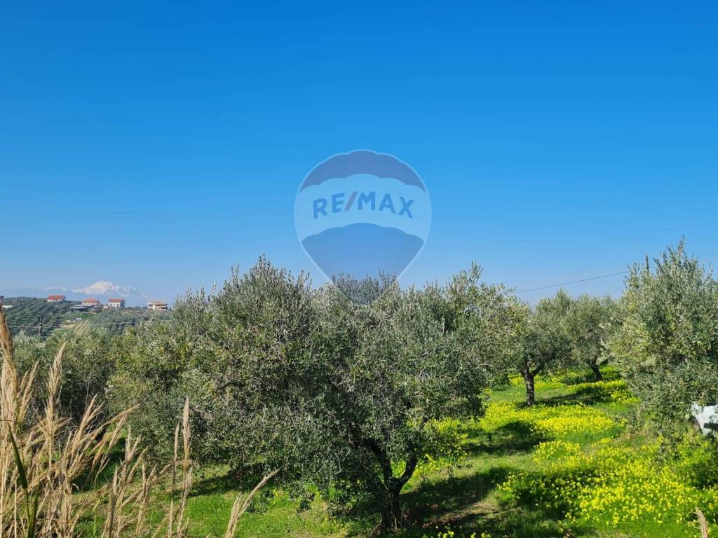 Terreno a Francavilla al mare in Contrada Santa Cecilia - Foto 4