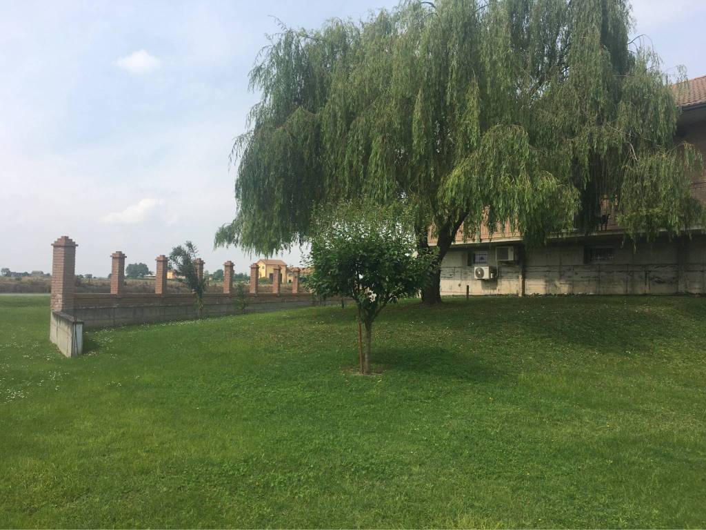 Villa a Motta de' conti - Foto 2