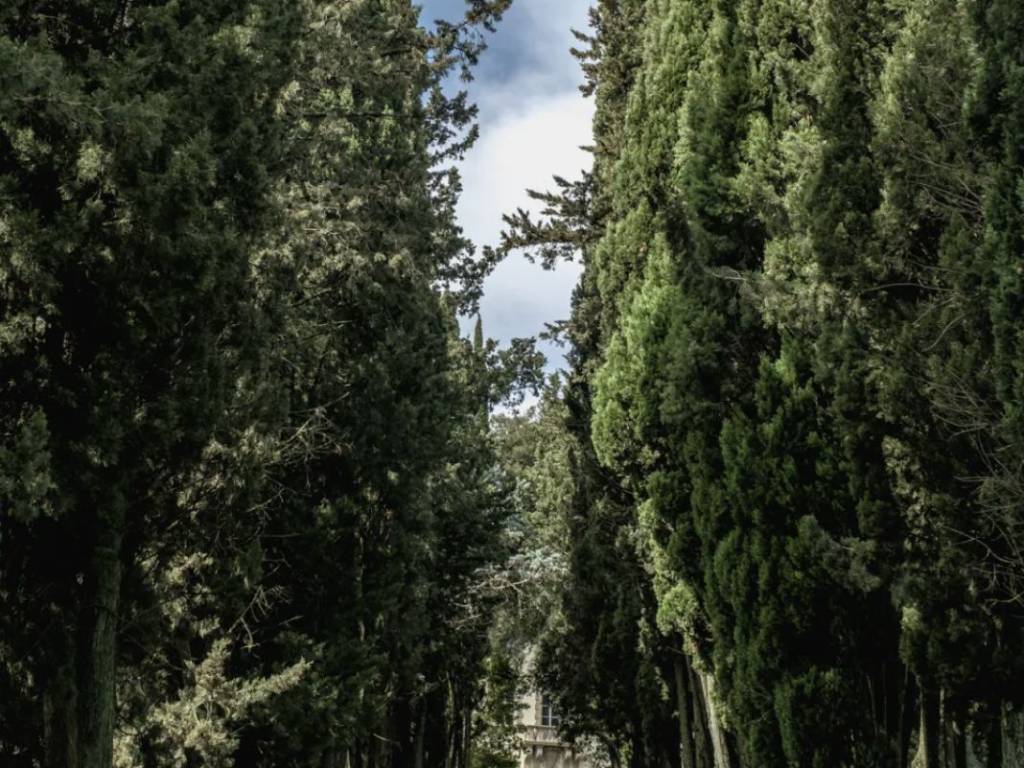 Attico / mansarda a Quarrata in Via Vecchia Fiorentina Tronco 1, 204 - Foto 3