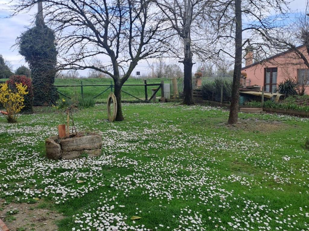 Villa a Conselice in Via Reale - Foto 3