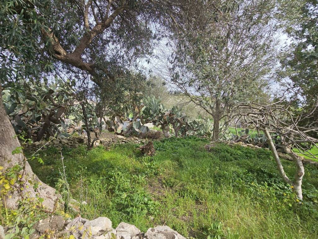 Casa indipendente a Ragusa in Contrada Bellocozzo - Foto 4