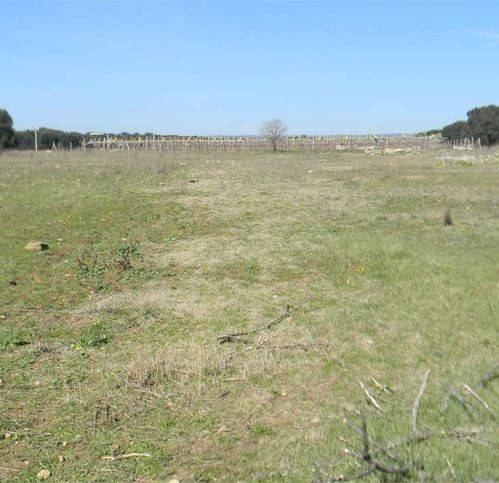 Terreno a Monteiasi - Foto 2