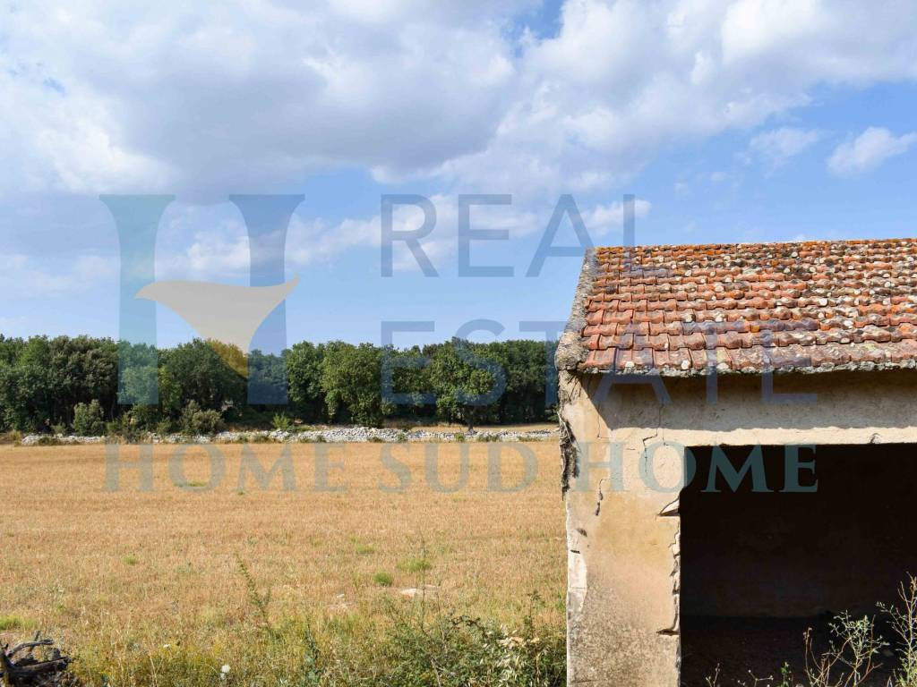 Rustico / casale a Noto in Via Tommaso Fazello, 228 - Foto 4