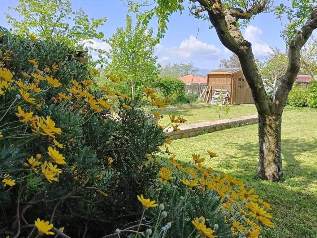 Villa a Montecastrilli in Via Giacomo Puccini - Foto 4