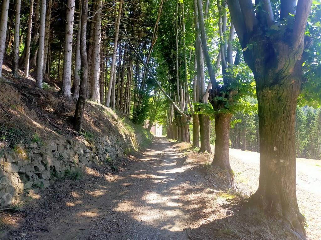 Casa indipendente a Montale - Foto 4