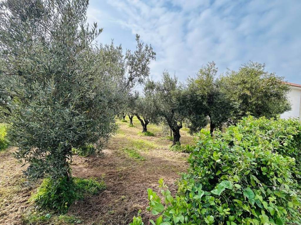 Terreno a Lamezia terme in Via Asia - Foto 2