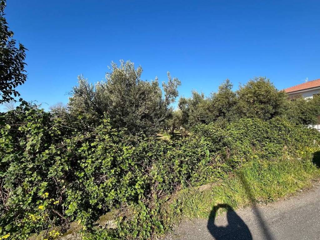 Terreno a Lamezia terme in Via Asia - Foto 3
