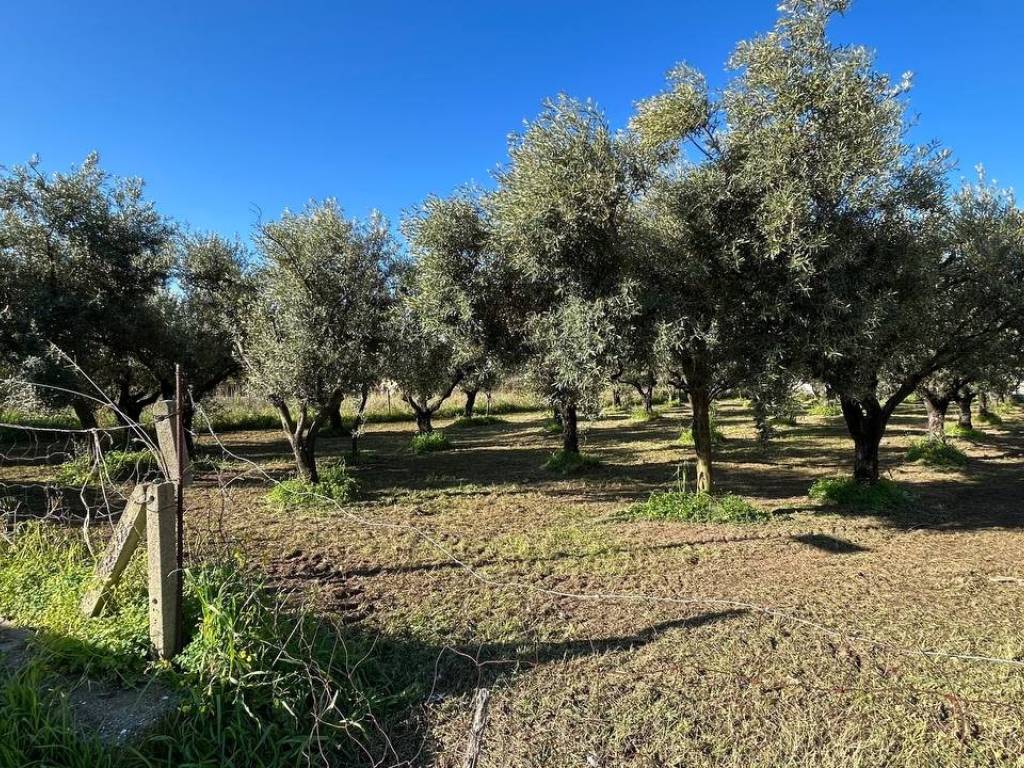 Terreno a Lamezia terme in Via Asia - Foto 5