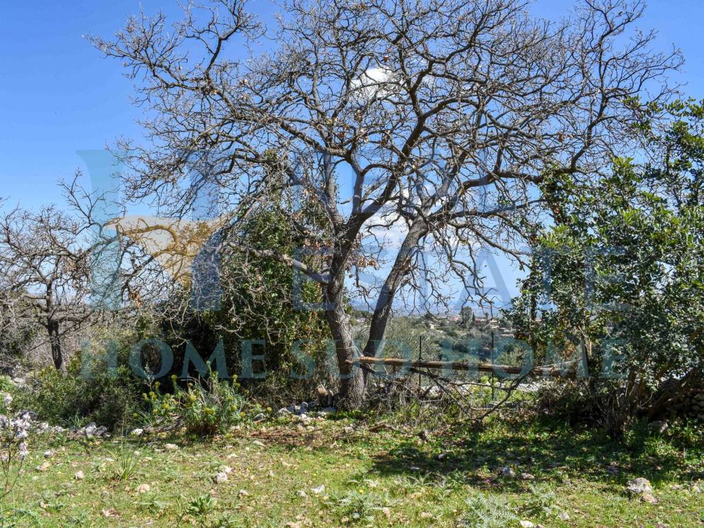 Rustico / casale a Noto in Via Tommaso Fazello, 228 - Foto 4