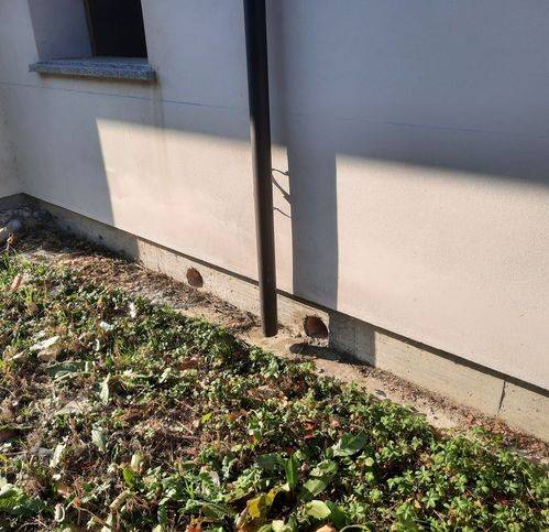 Villetta a schiera a Bagnara di romagna - Foto 5