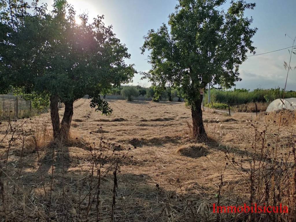 Terreno a Ispica in Contrada Iannazzo S.N.C. - Foto 2