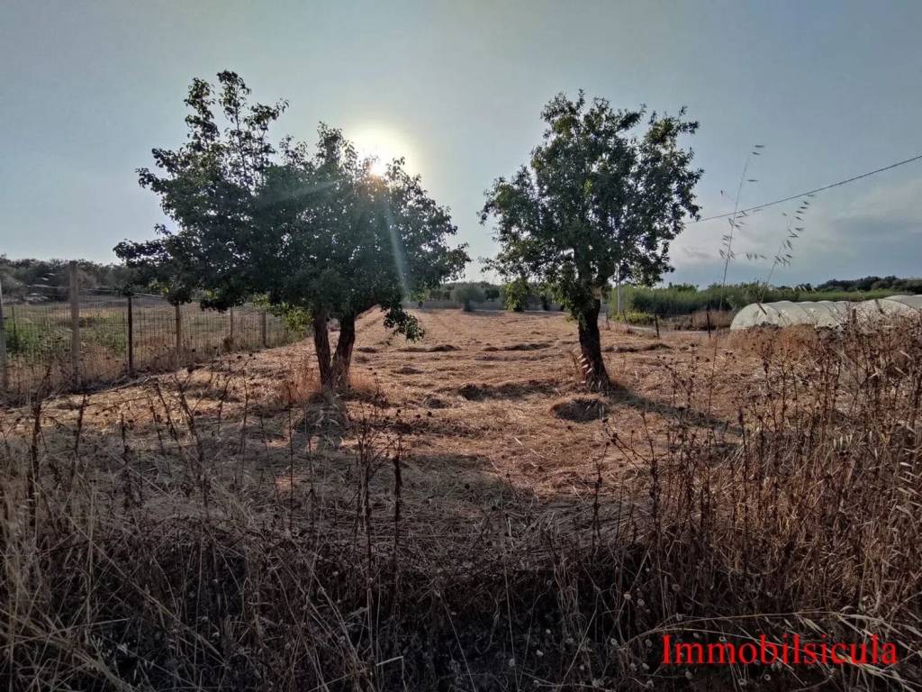 Terreno a Ispica in Contrada Iannazzo S.N.C. - Foto 3