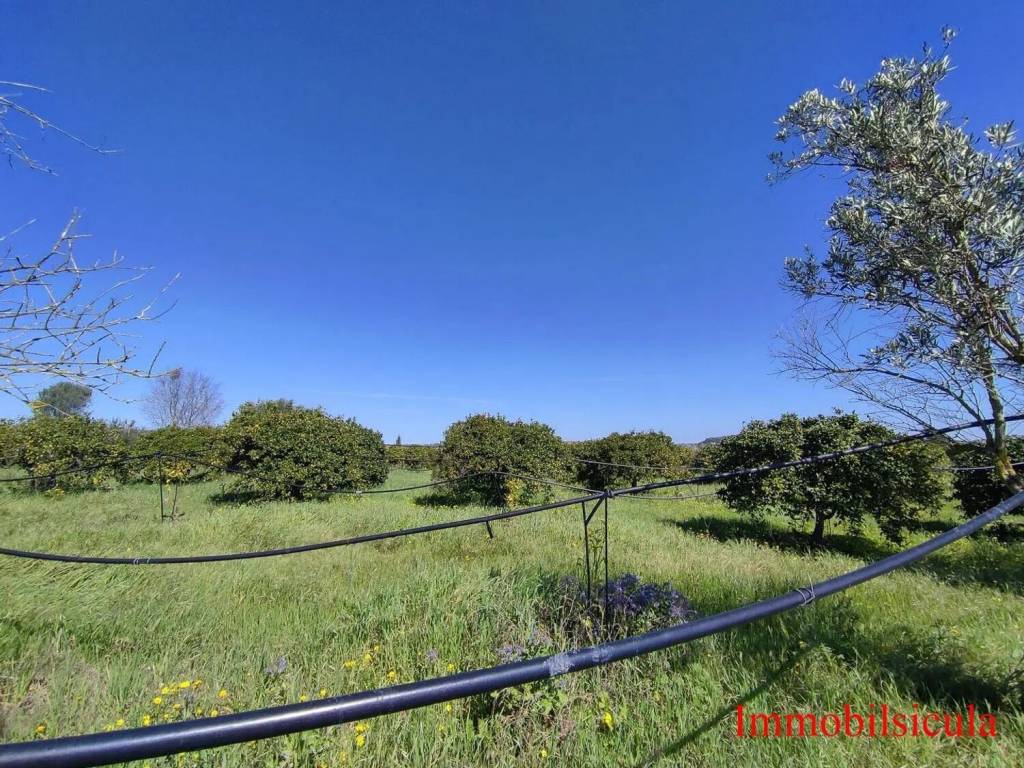 Terreno a Ispica in Contrada Cozzo Muni - Foto 2