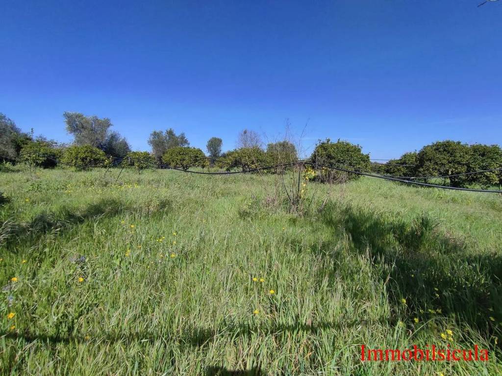 Terreno a Ispica in Contrada Cozzo Muni - Foto 3