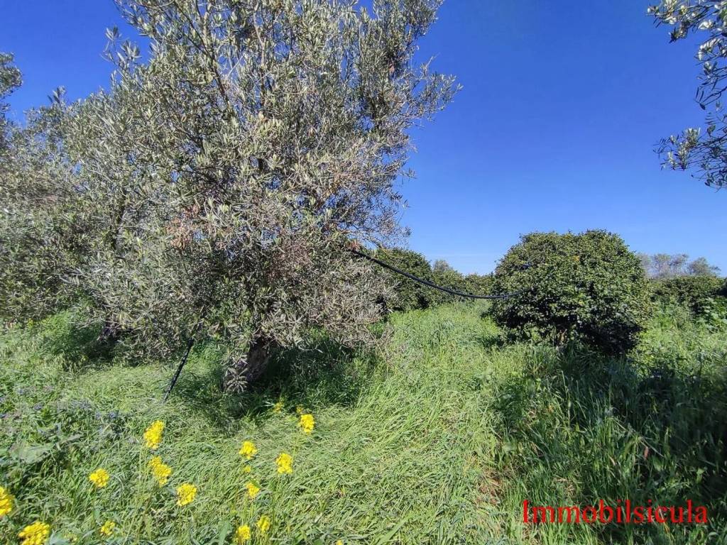 Terreno a Ispica in Contrada Cozzo Muni - Foto 4