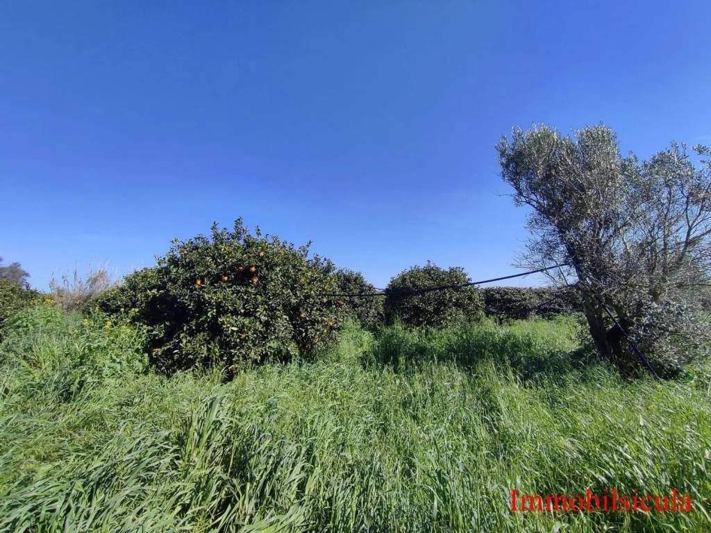 Terreno a Ispica in Contrada Cozzo Muni - Foto 5