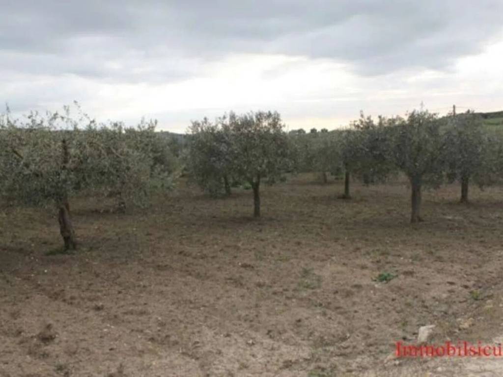 Terreno a Ispica in Contrada Miucia - Foto 2