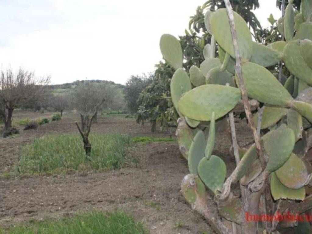 Terreno a Ispica in Contrada Miucia - Foto 3