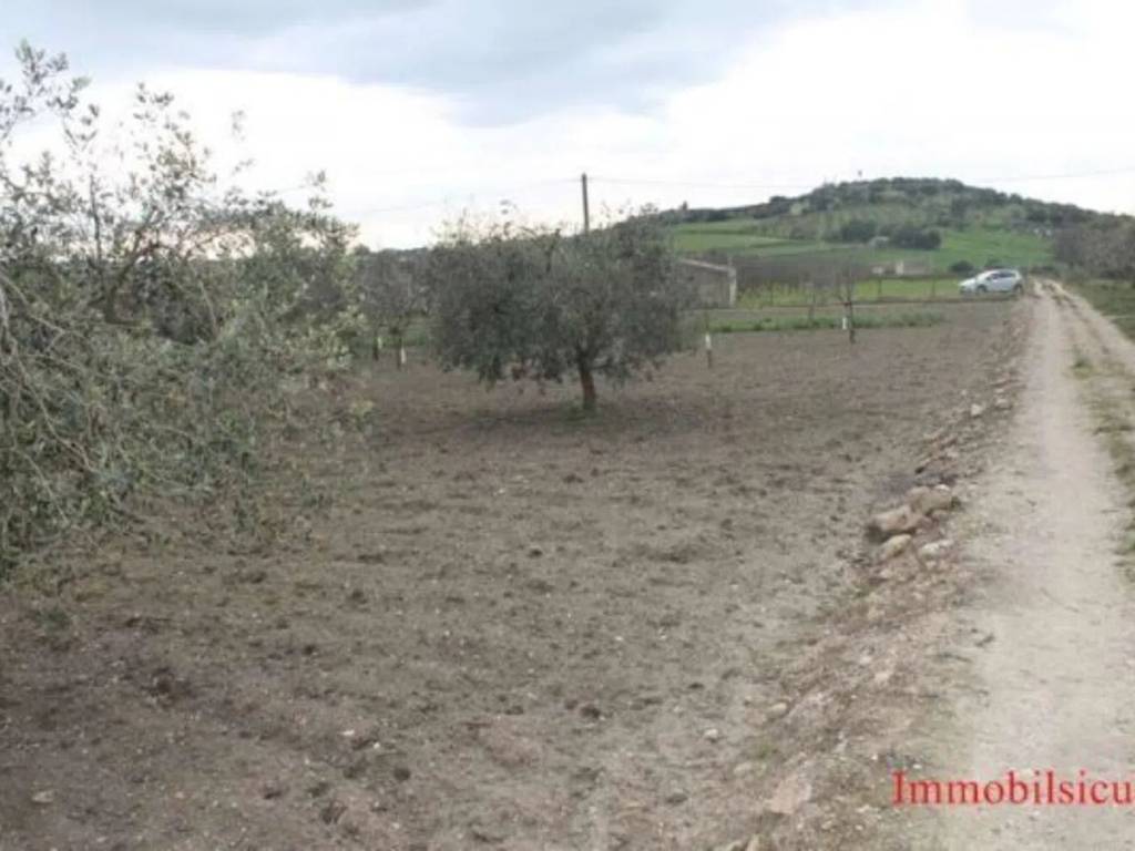Terreno a Ispica in Contrada Miucia - Foto 4