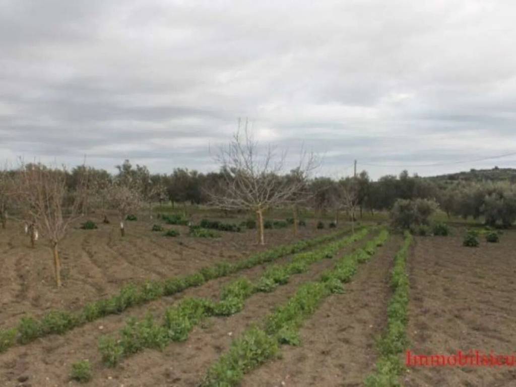 Terreno a Ispica in Contrada Miucia - Foto 5