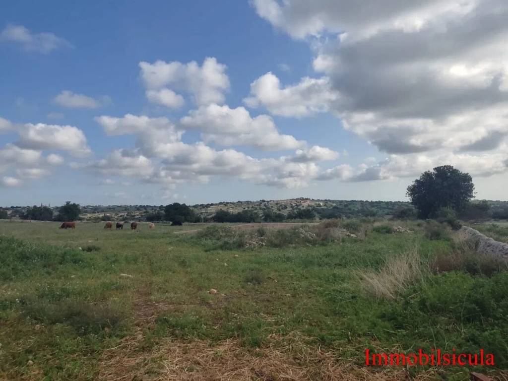 Terreno a Modica in Contrada Calicantone Scalepiane S.N.C. - Foto 2