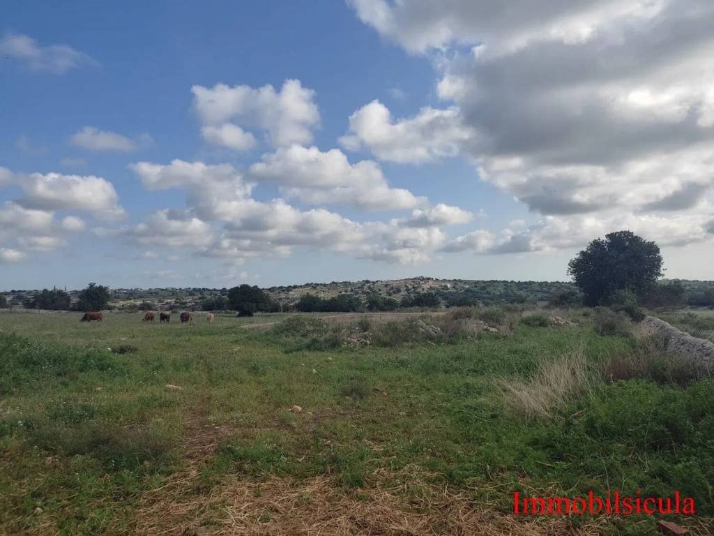 Terreno a Modica in Contrada Calicantone Scalepiane S.N.C. - Foto 3