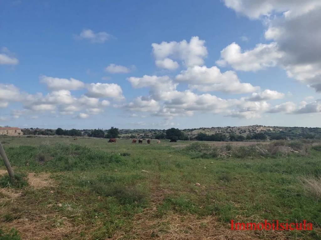 Terreno a Modica in Contrada Calicantone Scalepiane S.N.C. - Foto 4
