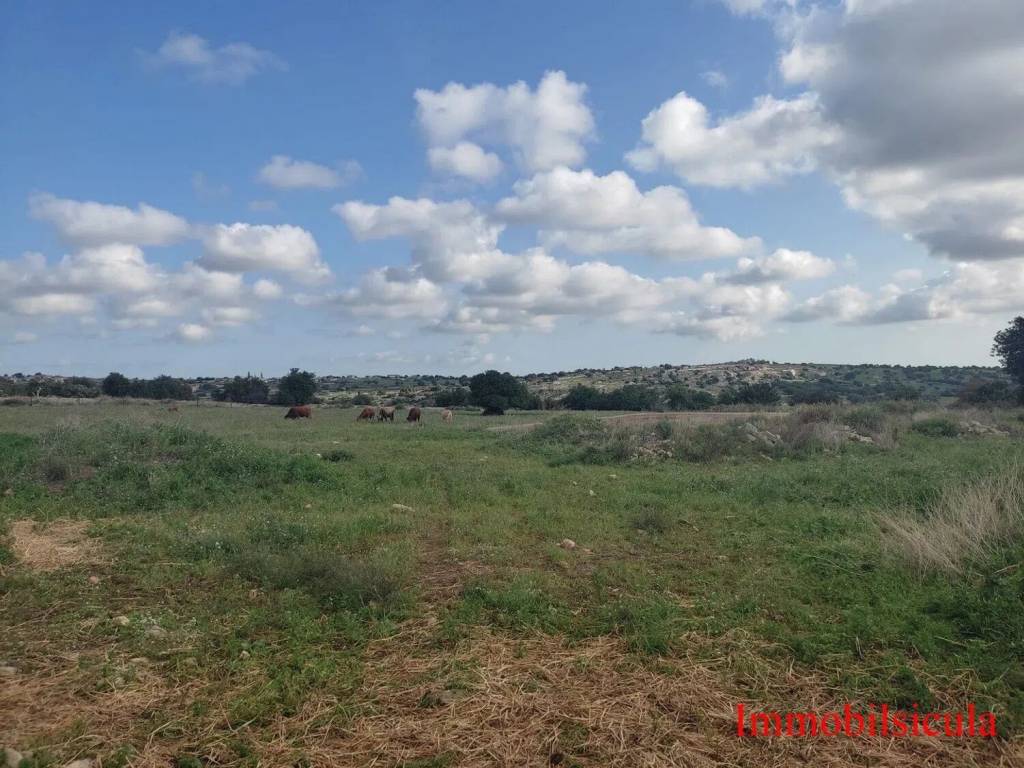 Terreno a Modica in Contrada Calicantone Scalepiane S.N.C. - Foto 5