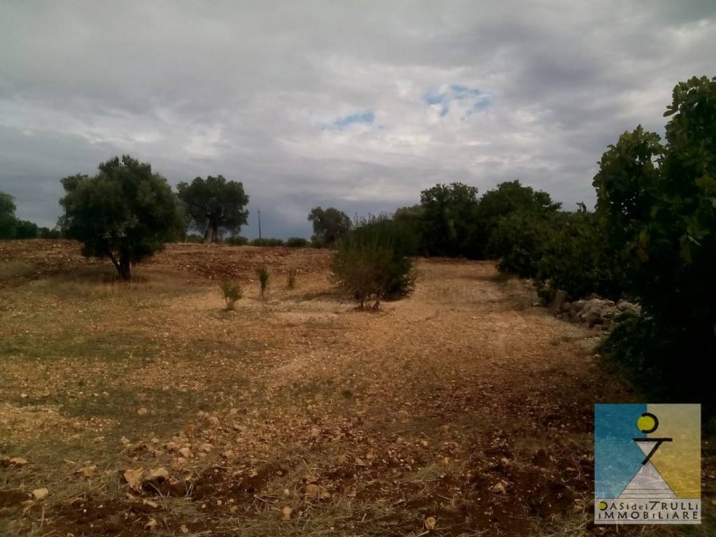 Terreno a Ceglie messapica in Ceglie Messapica, contrada Siatonna - Foto 2
