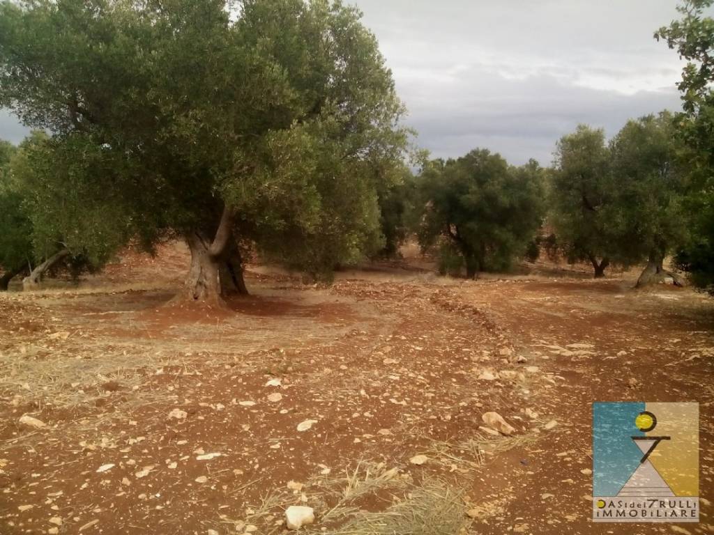 Terreno a Ceglie messapica in Ceglie Messapica, contrada Siatonna - Foto 3