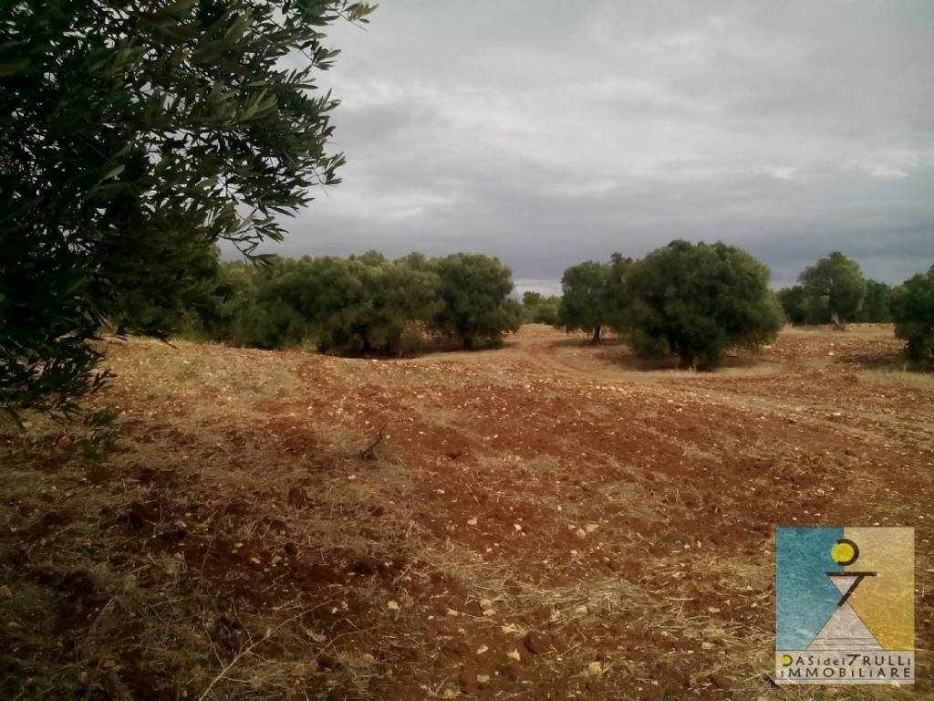 Terreno a Ceglie messapica in Ceglie Messapica, contrada Siatonna - Foto 5