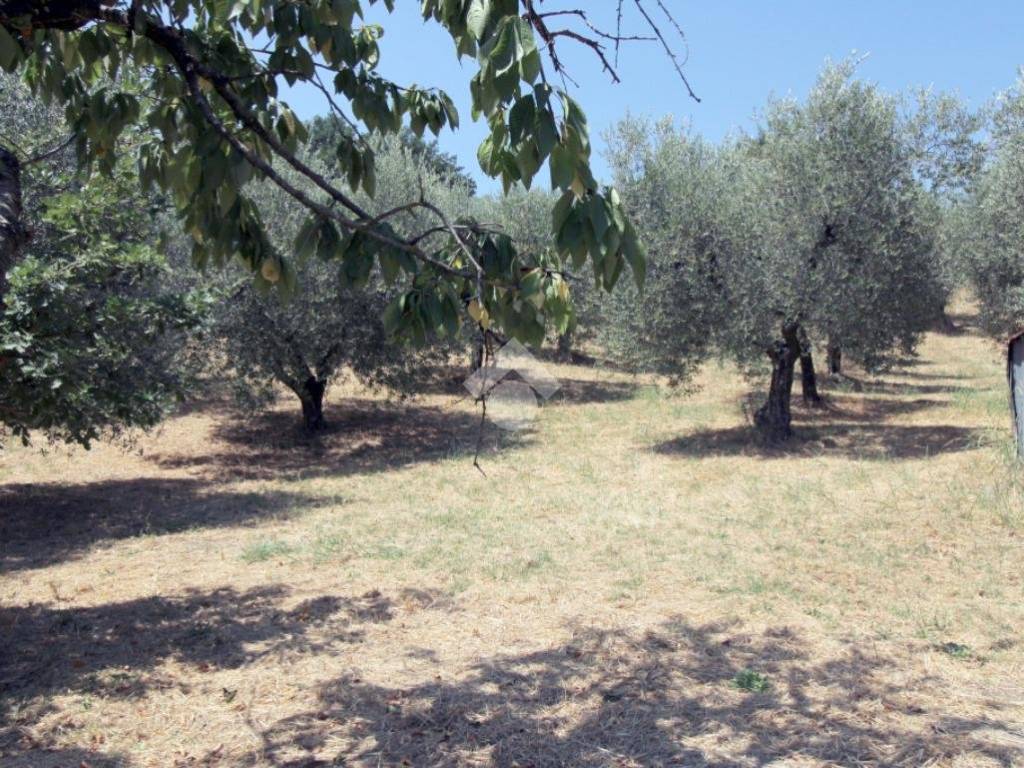Terreno a Montopoli di sabina in Via Romana - Foto 2