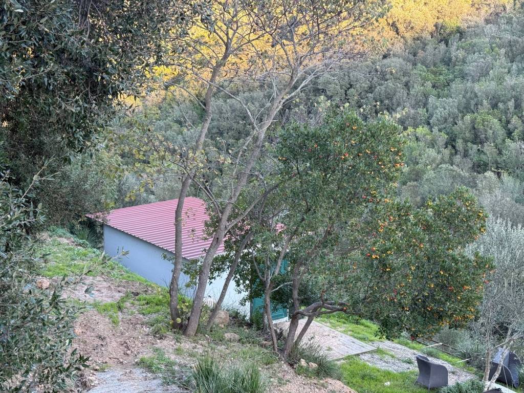 Rustico / casale a Monte argentario in Località Cannatelli - Foto 5